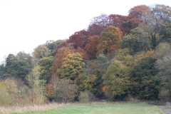 Lower-Bradford-sale-autumn